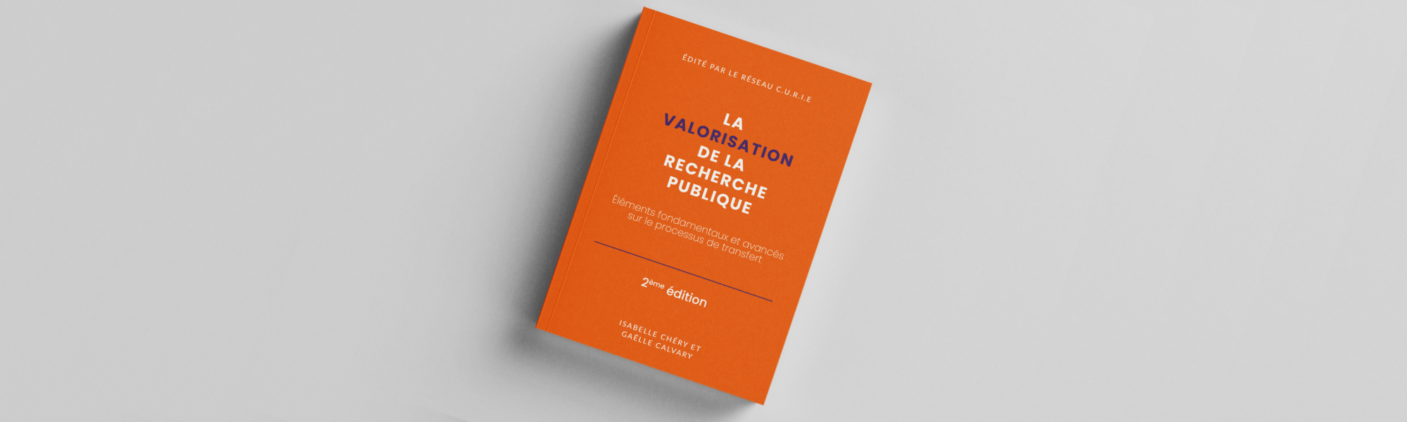 Livre La valorisation de la recherche publique Réseau C.U.R.I.E.